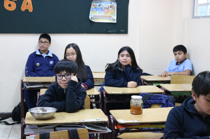 Día de la Actividad Física